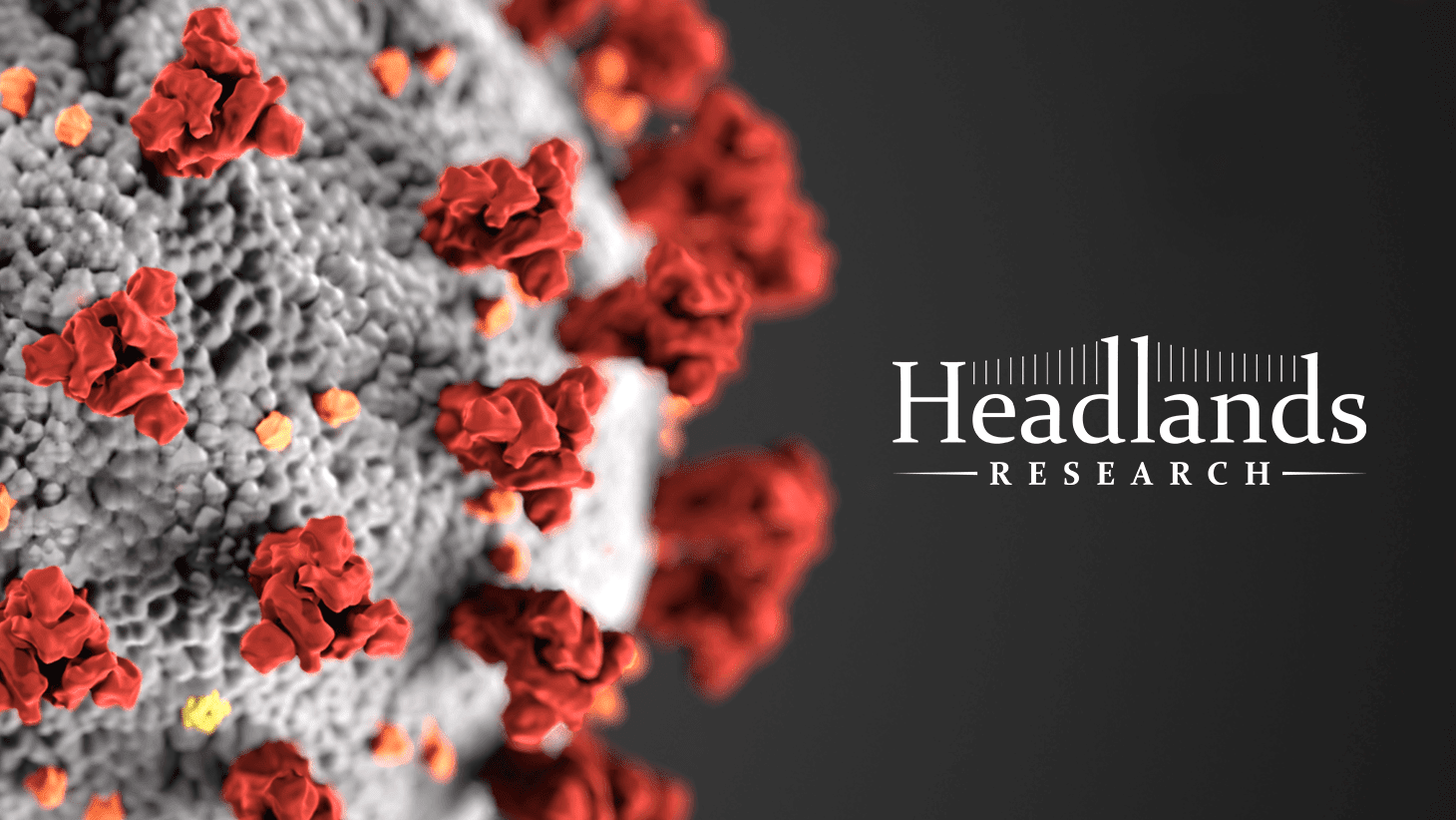Coronavirus Image