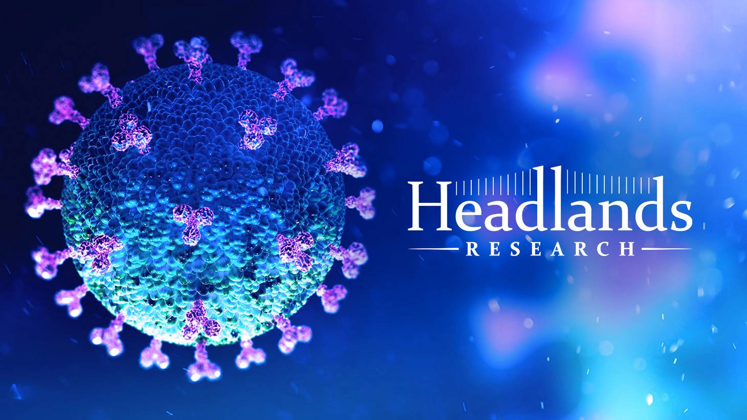 Corona Virus Image