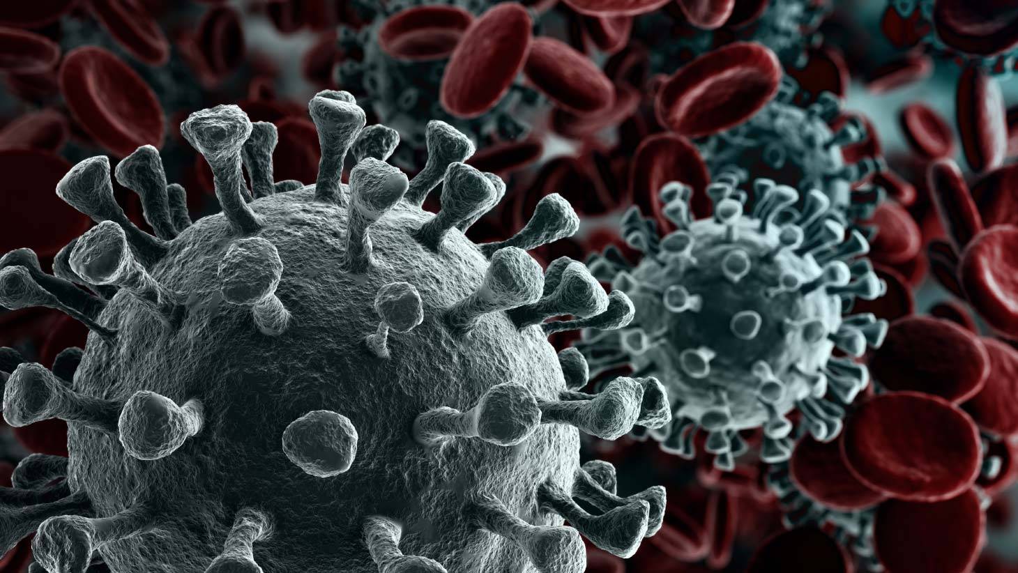 Virus image